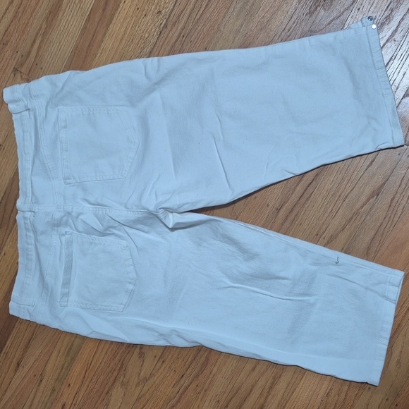Glorious Vanderbilt Amanda White Stretchy Capris Sz 16W Great condition - Picture 7 of 15